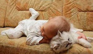 �������� �� �������� ��������? ��� �� ���...